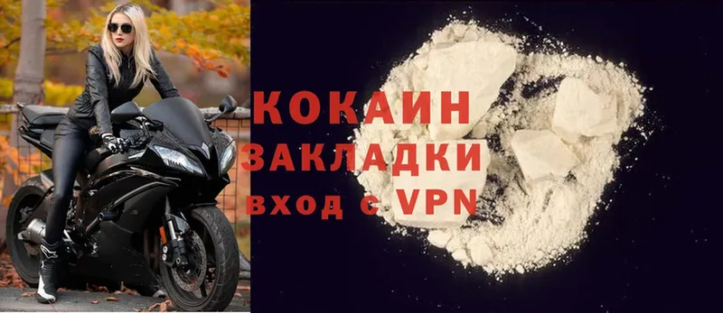 Cocaine Fish Scale  сайты даркнета формула  Красково 